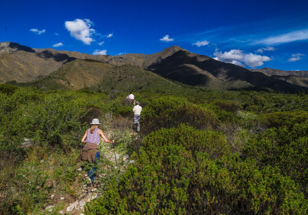 Una de las reservas naturales privadas que hay en Argentina