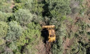 Greenpeace documentó una topadora destruyendo bosques nativos a 30 kilómetros de Miraflores, a pesar de que hace dos semanas la Justicia chaqueña ratificó la suspensión de los desmontes. La organización ecologista volvió a reclamar que se penalicen los desmontes.