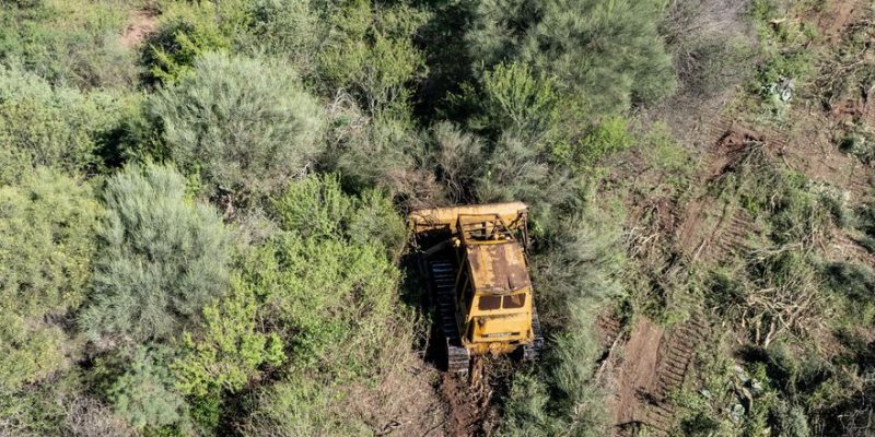 Greenpeace documentó una topadora destruyendo bosques nativos a 30 kilómetros de Miraflores, a pesar de que hace dos semanas la Justicia chaqueña ratificó la suspensión de los desmontes. La organización ecologista volvió a reclamar que se penalicen los desmontes.