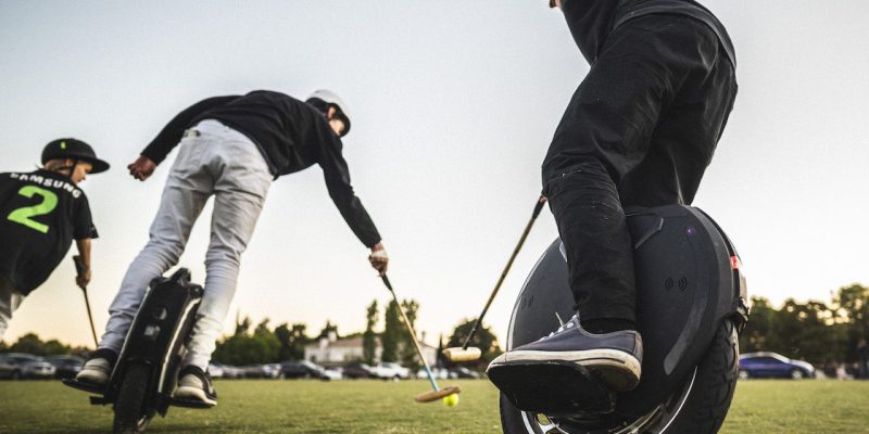 Polo sobre ruedas, ideal para niños