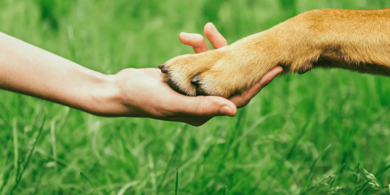 Captura de pantalla 2025-09-12 113217