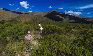 Una de las reservas naturales privadas que hay en Argentina