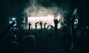 crowd, concert, music festival-1056764.jpg