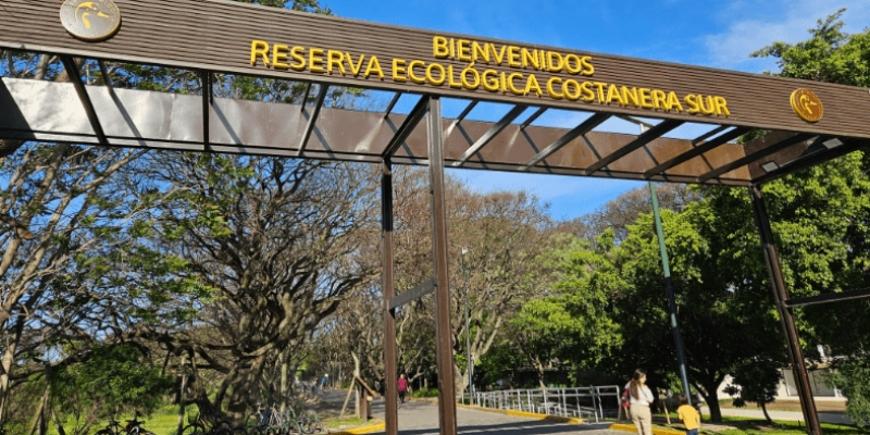 Construcciones ilícitas en la Reserva Ecológica Costanera Sur