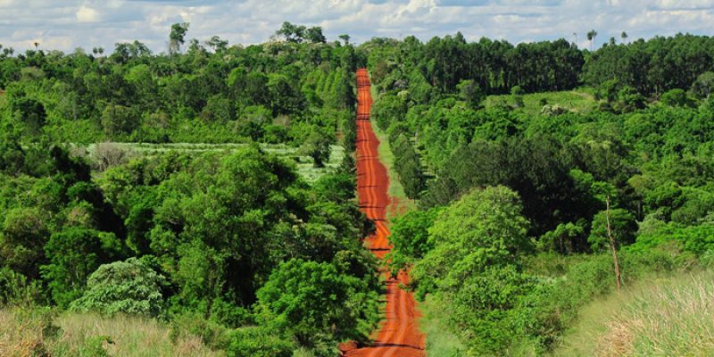 Camino de tierra colorada en el interior de Misiones. (Viva Misiones).